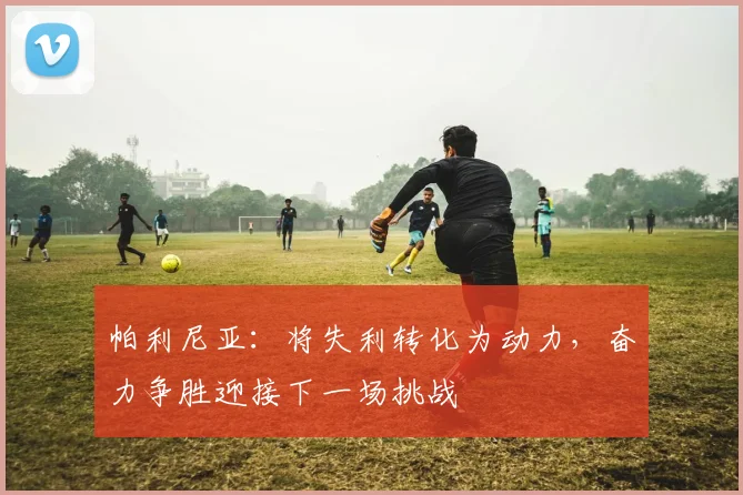 帕利尼亚：将失利转化为动力，奋力争胜迎接下一场挑战