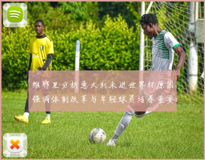 维耶里分析意大利未进世界杯原因强调体制改革与年轻球员培养重要性